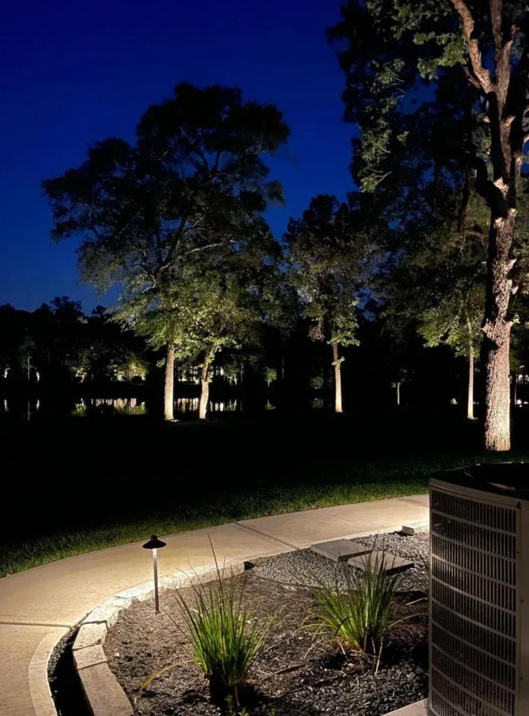 Landscape lighting on trees at night