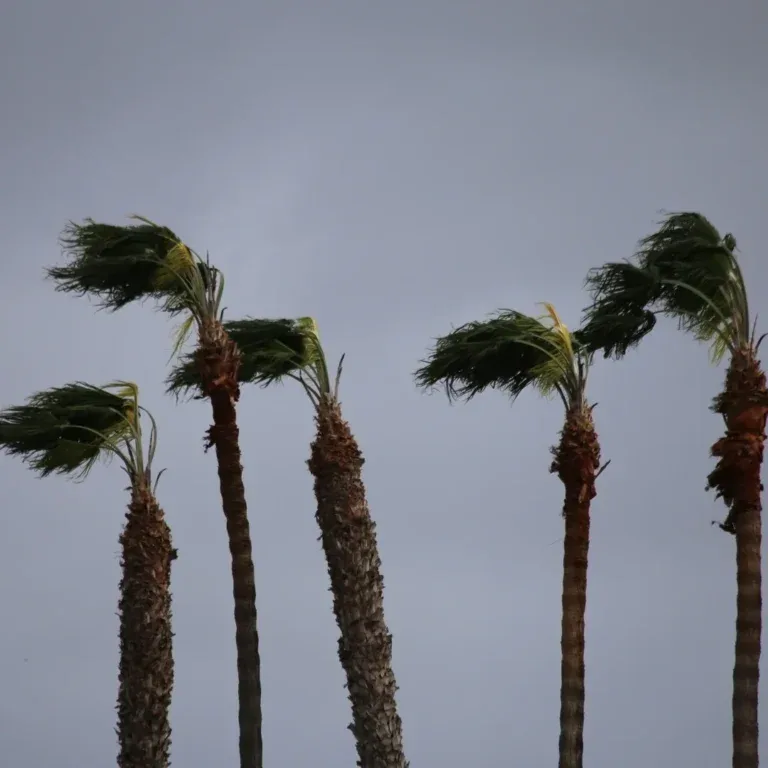 Hurricane Season: What You Need To Know