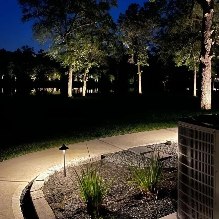 Night walkway with a path light and uplit trees near a lake