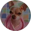 Patty Dugar profile picture