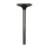INTAKE VALVE GEN-0C2229